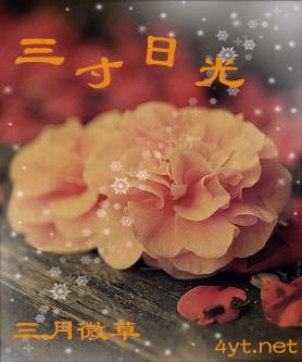 三寸日光是哪部电视剧的主题曲