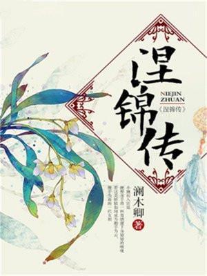 涅锦传全文免费阅读